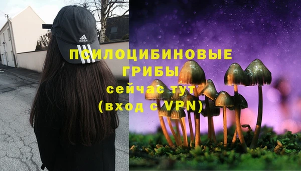 спиды Балабаново