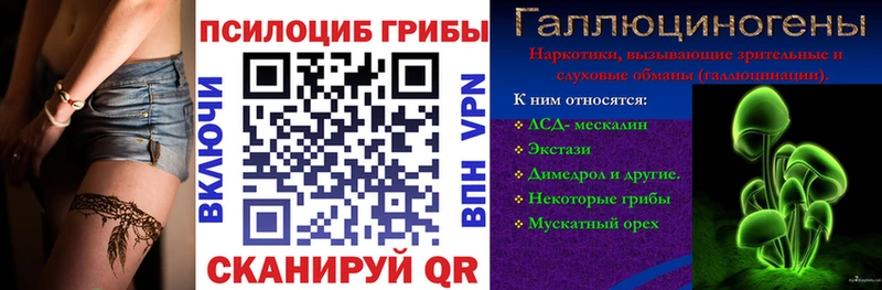 OMG вход  Горняк  Псилоцибиновые грибы Psilocybe 
